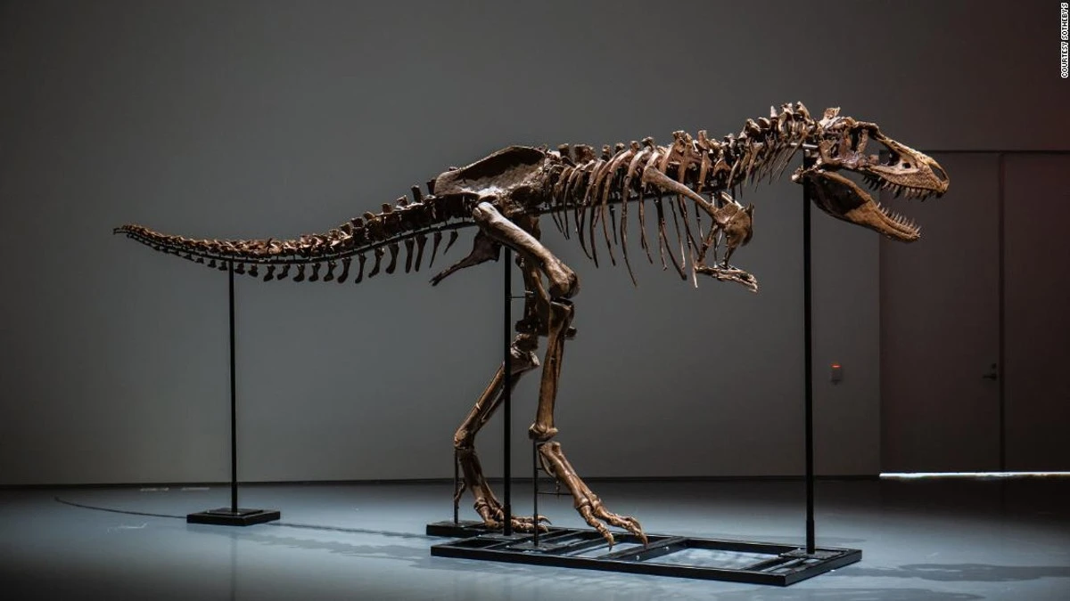 Imagen noticia ¿Está bien subastar los fósiles de los dinosaurios? 