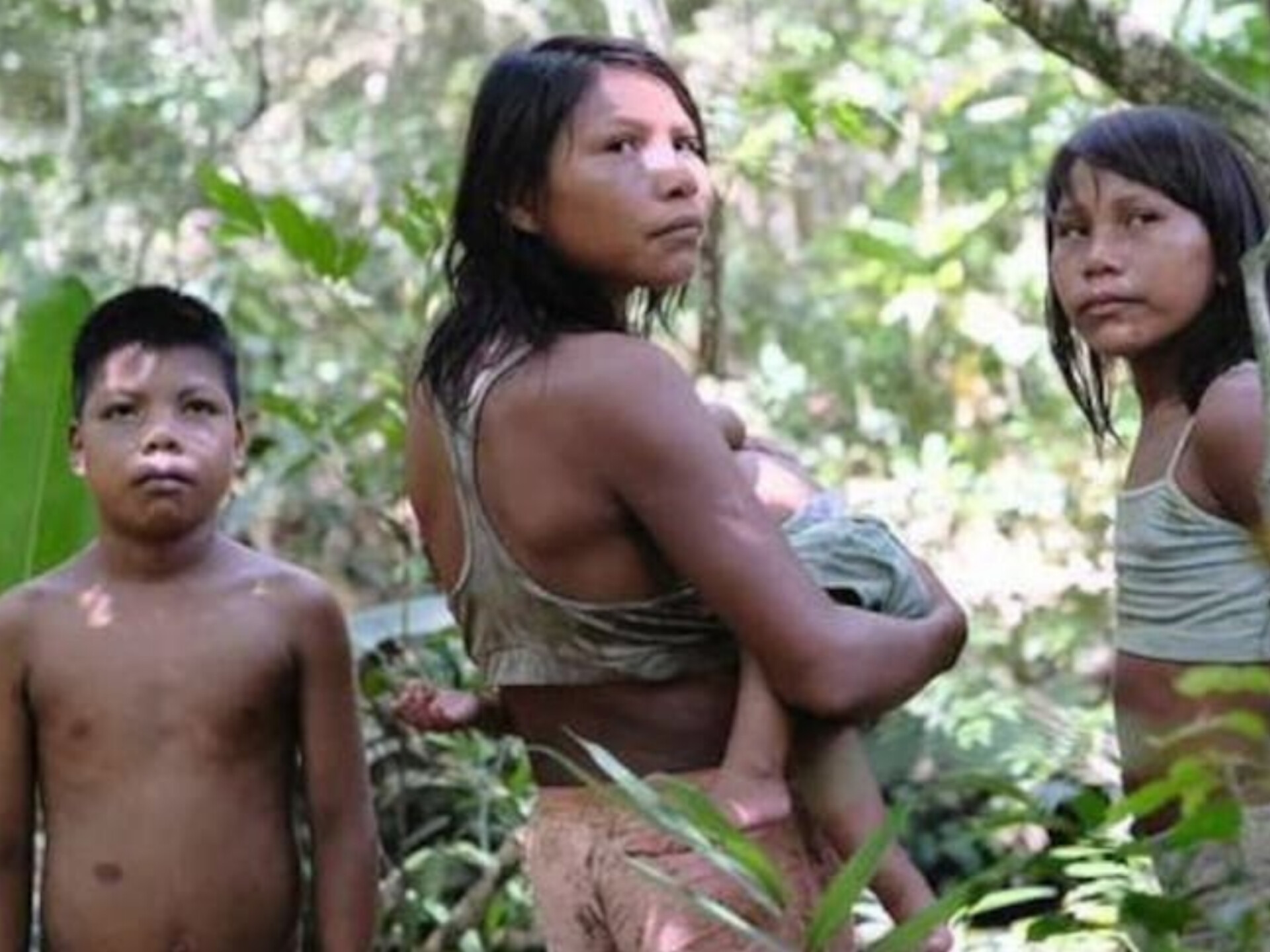 Imagen noticia Ya puede ver ‘40 días Perdidos en la Selva’, la cinta sobre los niños indígenas
