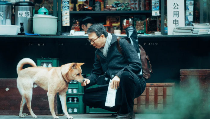 Imagen noticia ¡Regresa el perro más famoso del mundo! No se pierda ‘Hachiko 2’
