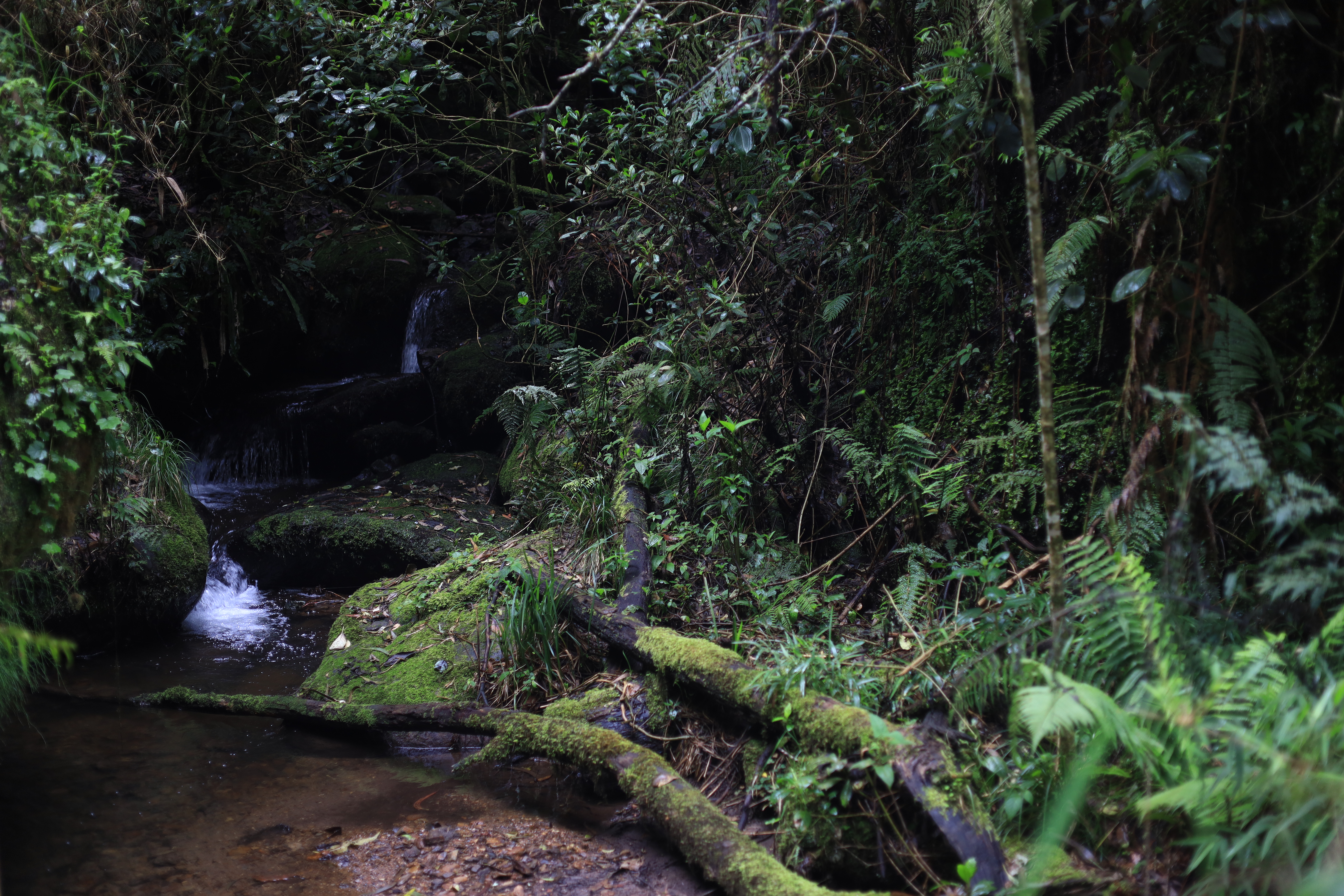 Foto: Acueducto de Bogotá
