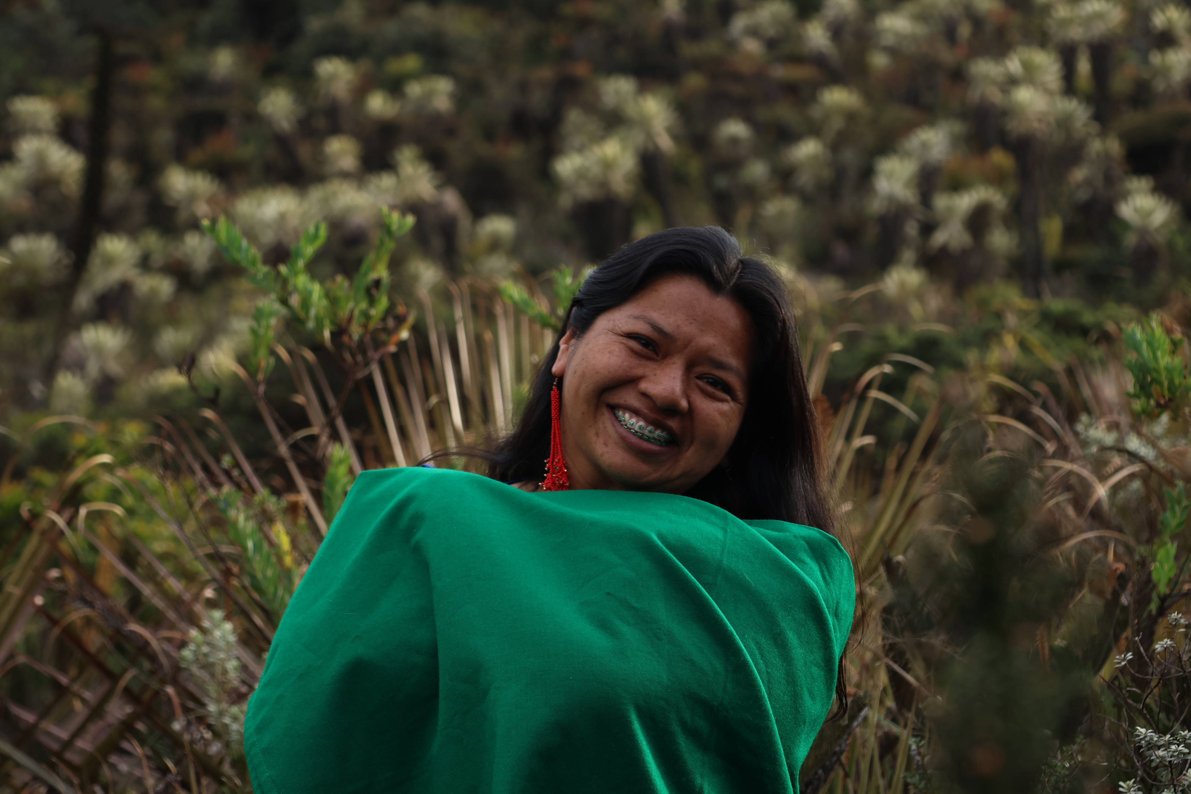 THE NATURE CONSERVANCY y BIBLORED.