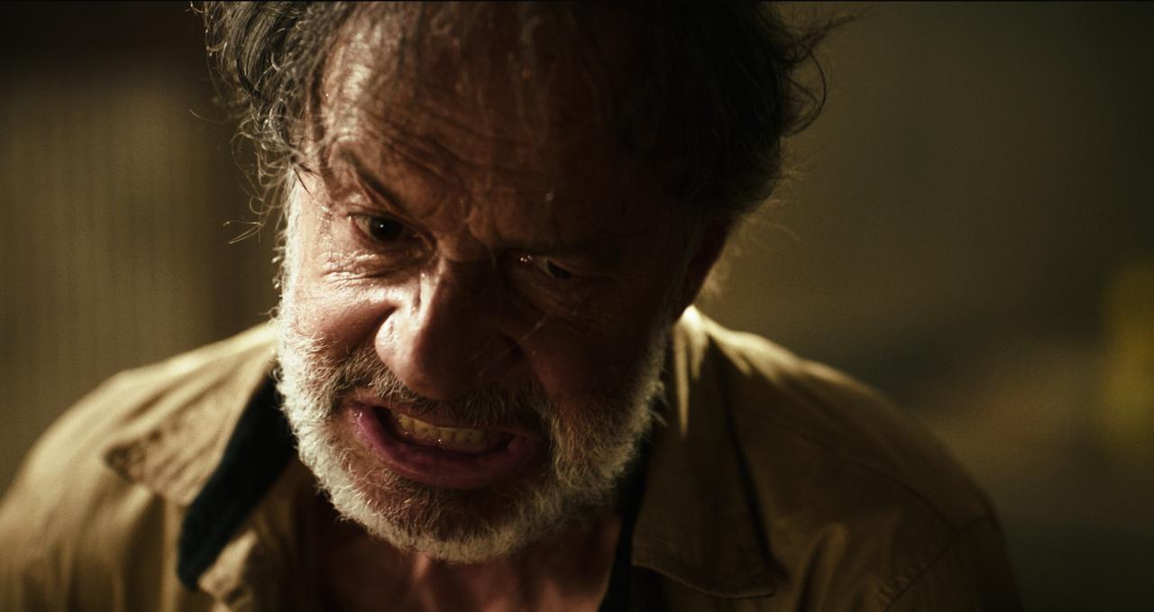 Foto: Prensa Sierra: El Árbol Mortuorio.