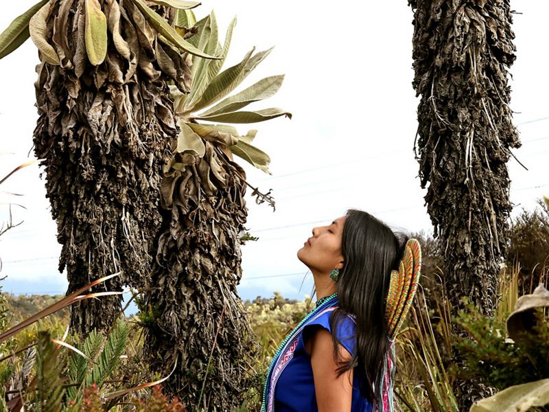 THE NATURE CONSERVANCY y BIBLORED.