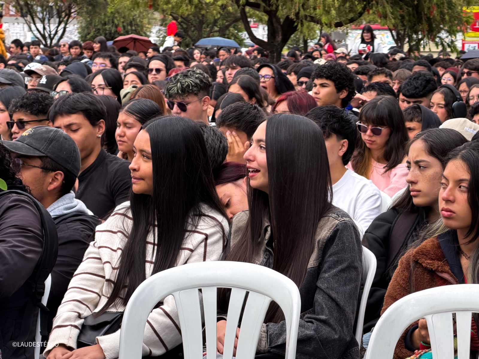 Galeria: 