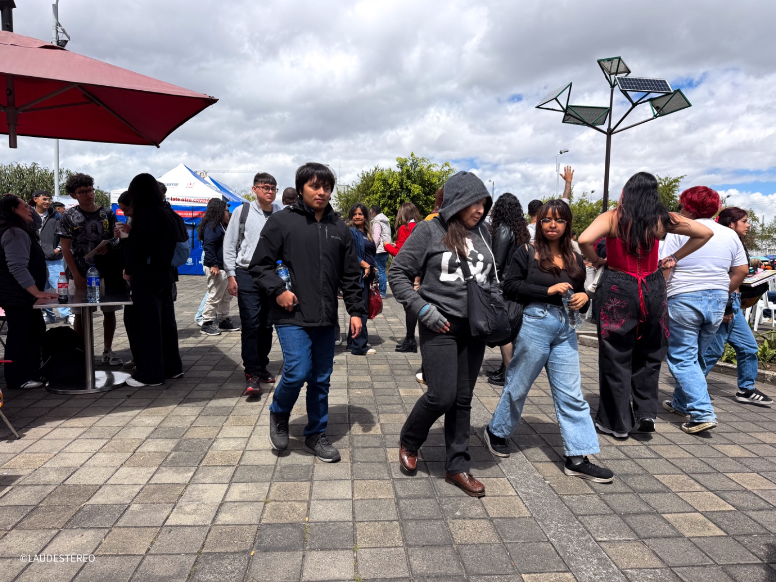 Galeria: 