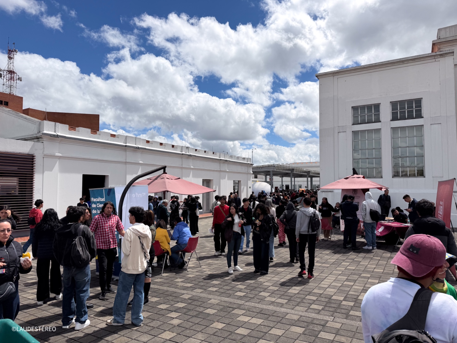 Galeria: 
