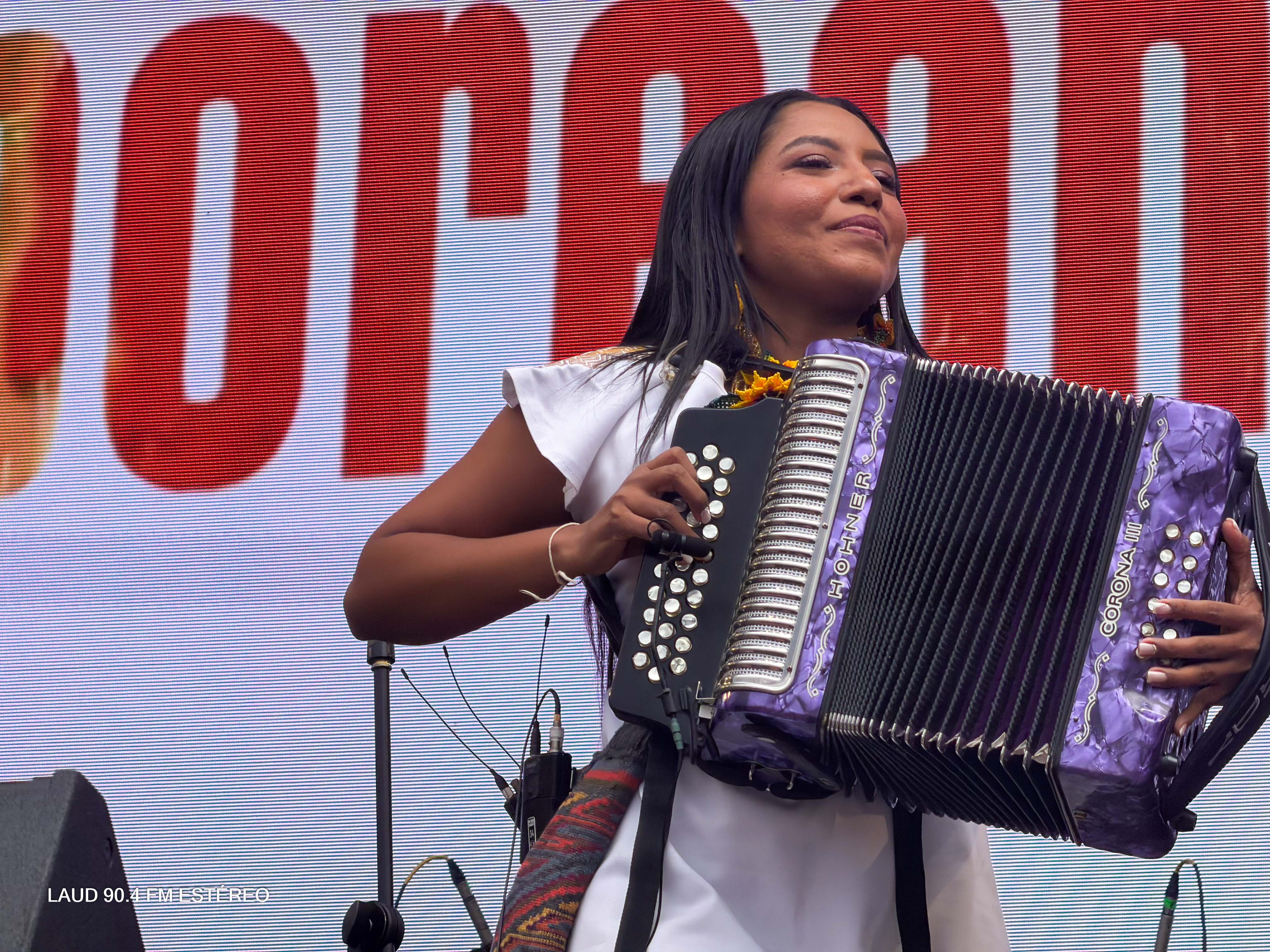 Galeria: Vallenato al Parque 