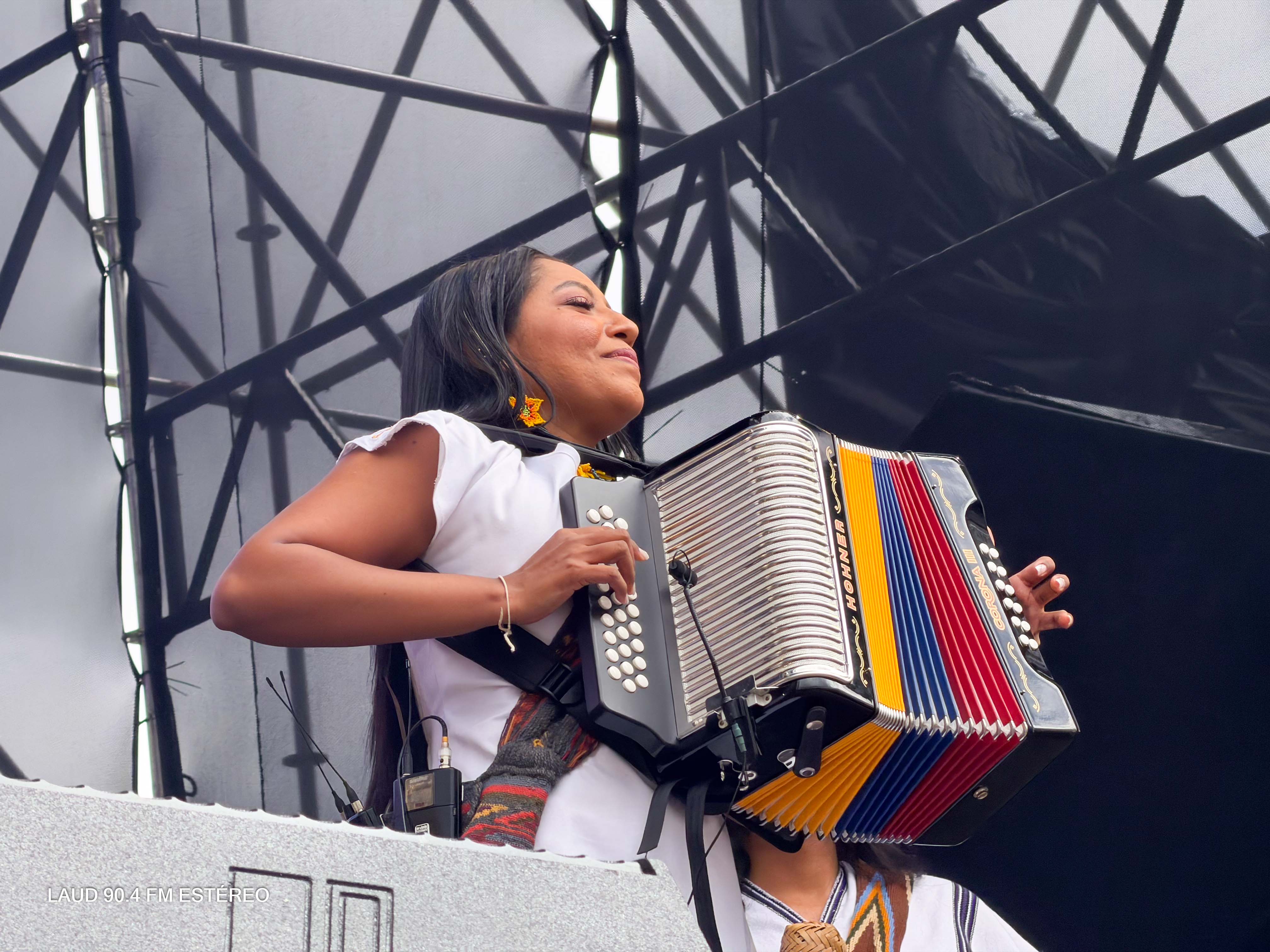 Galeria: Vallenato al Parque 