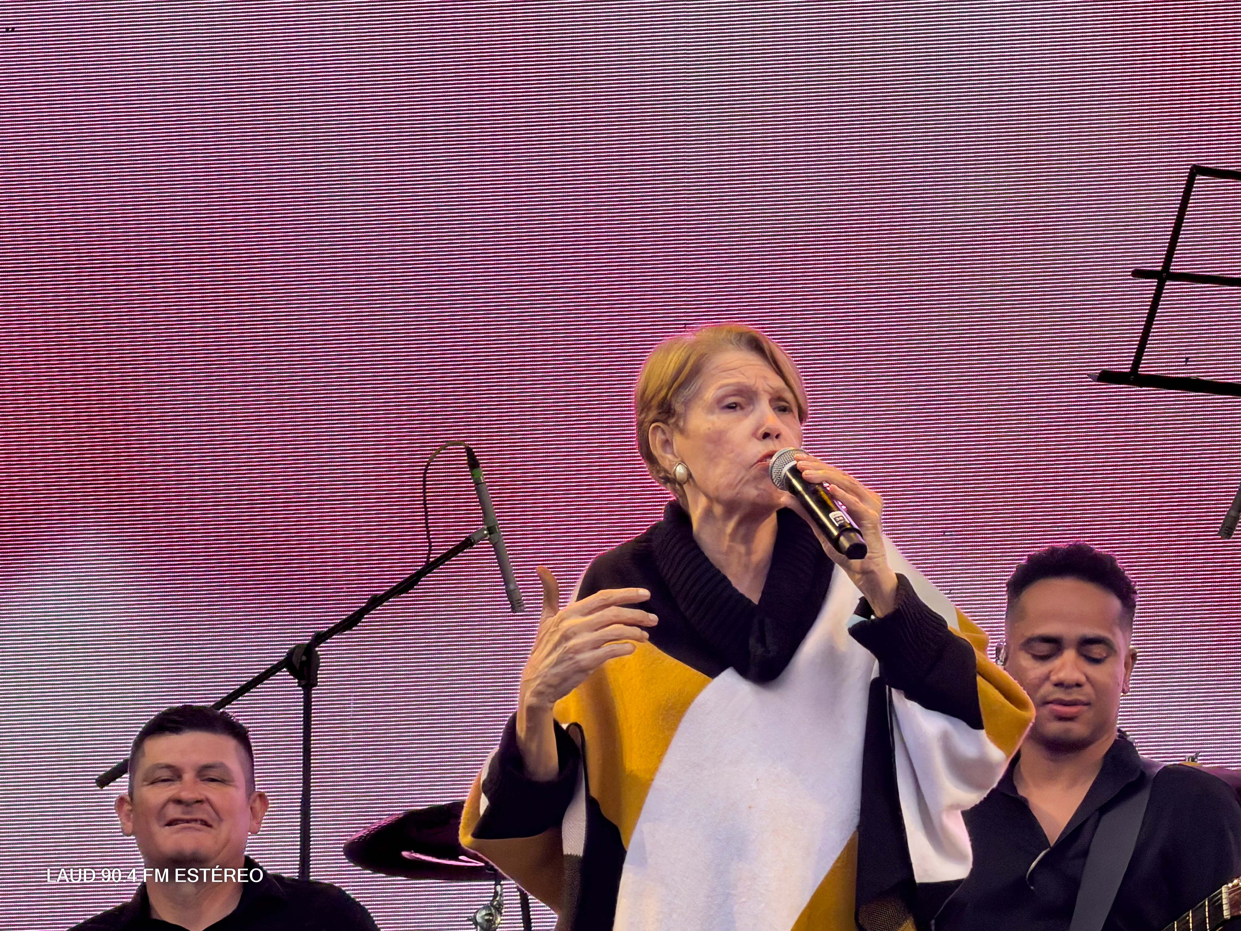 Galeria: Vallenato al Parque 