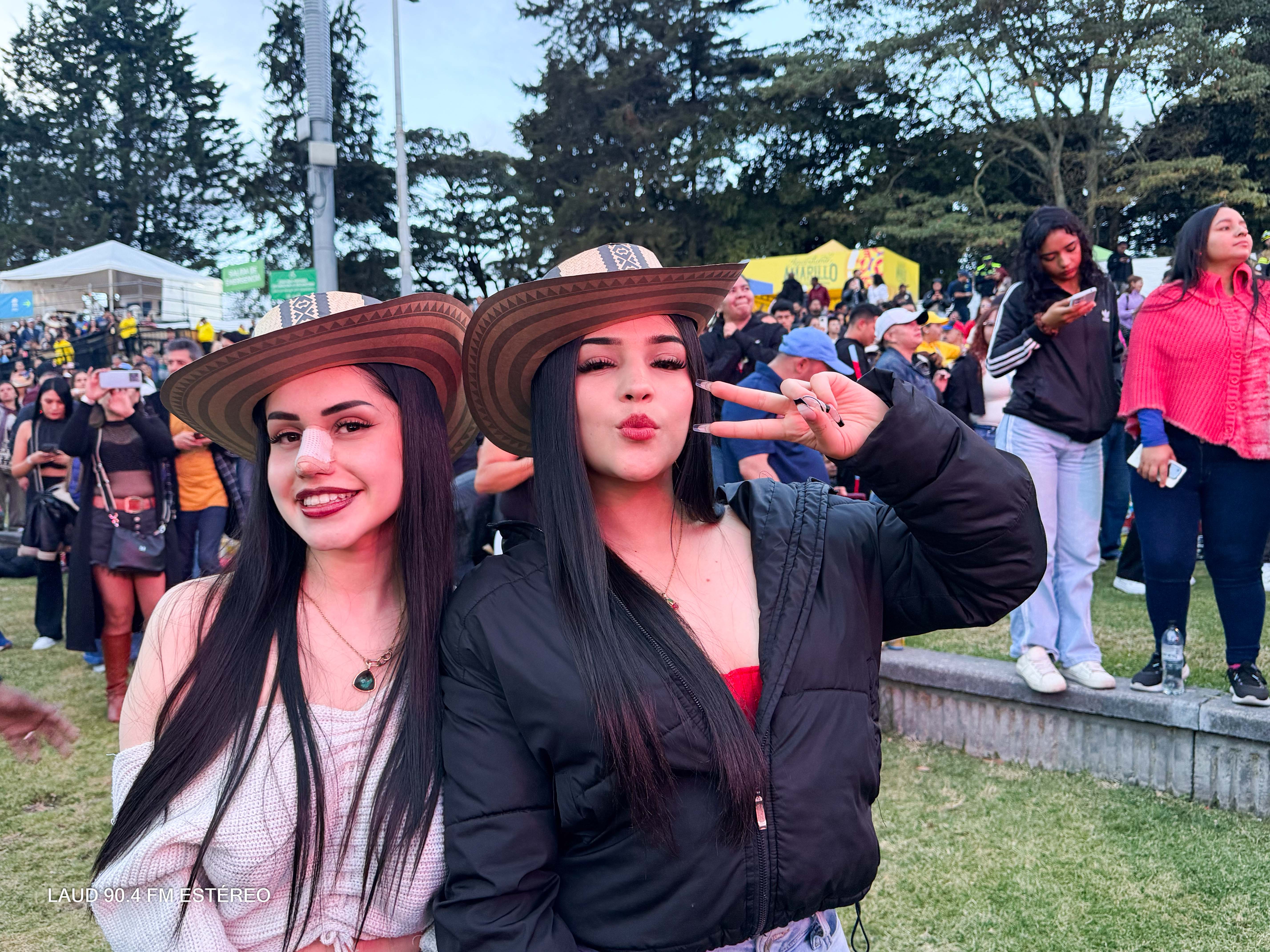 Galeria: Vallenato al Parque 