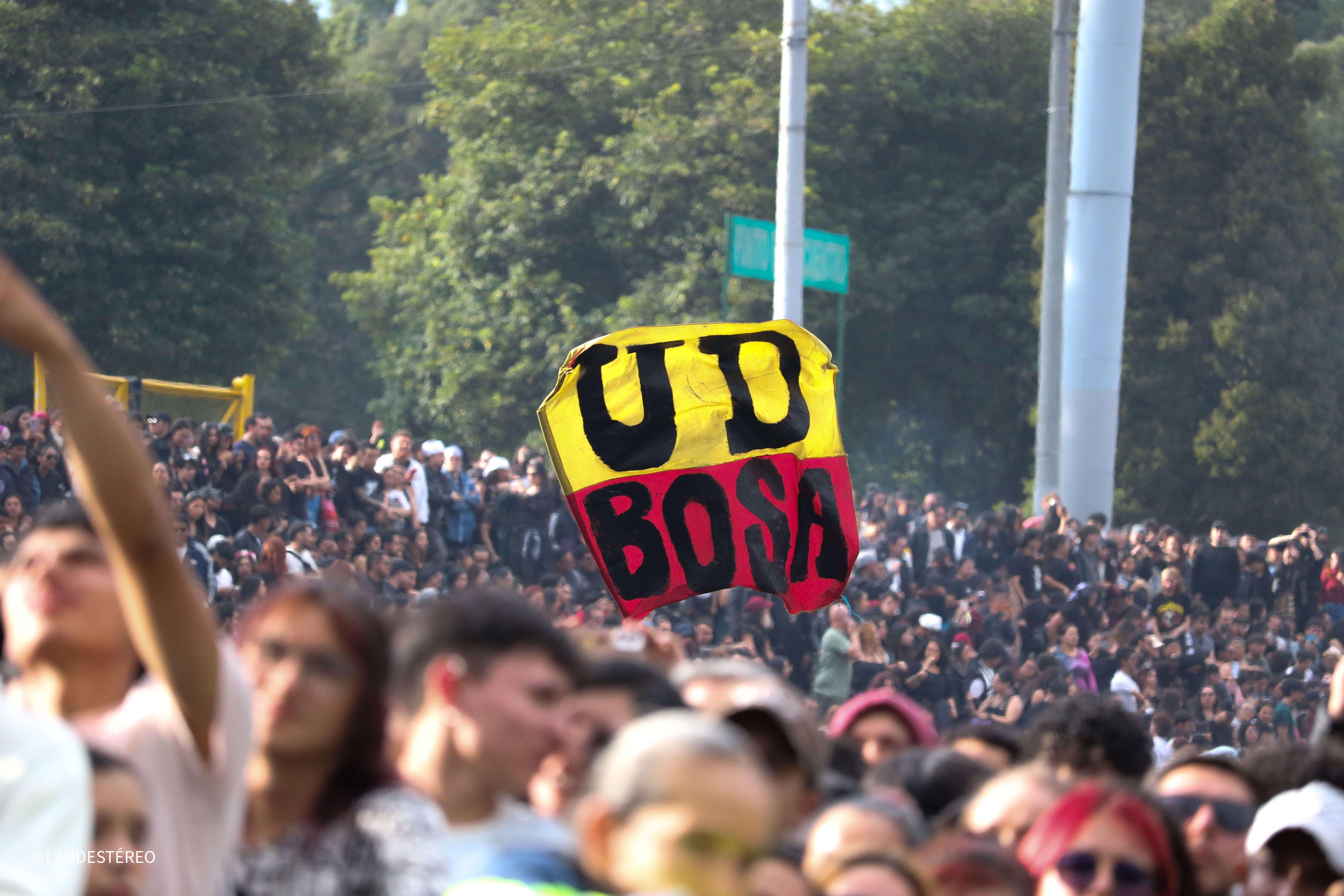 Galeria: 