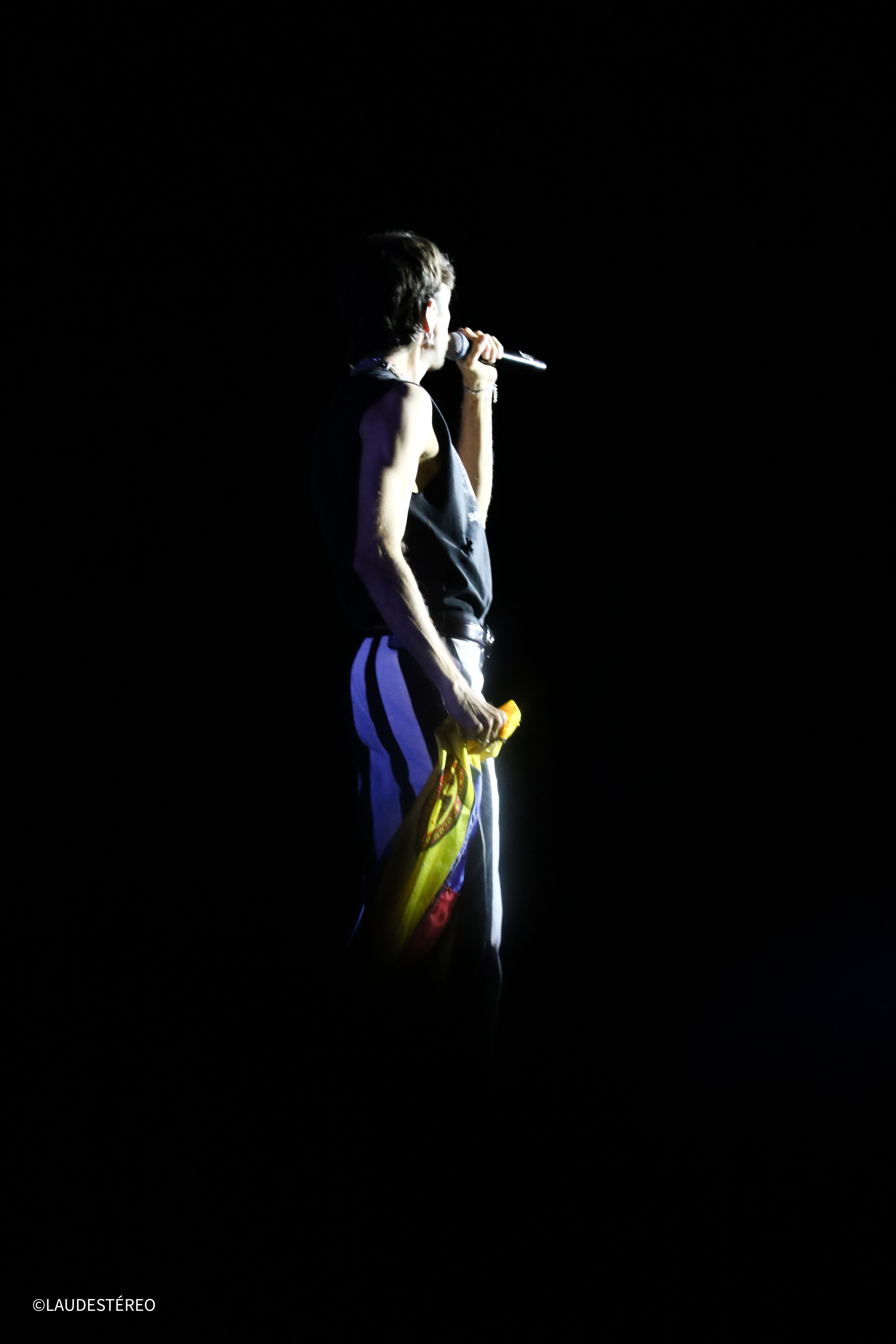 Galeria: 