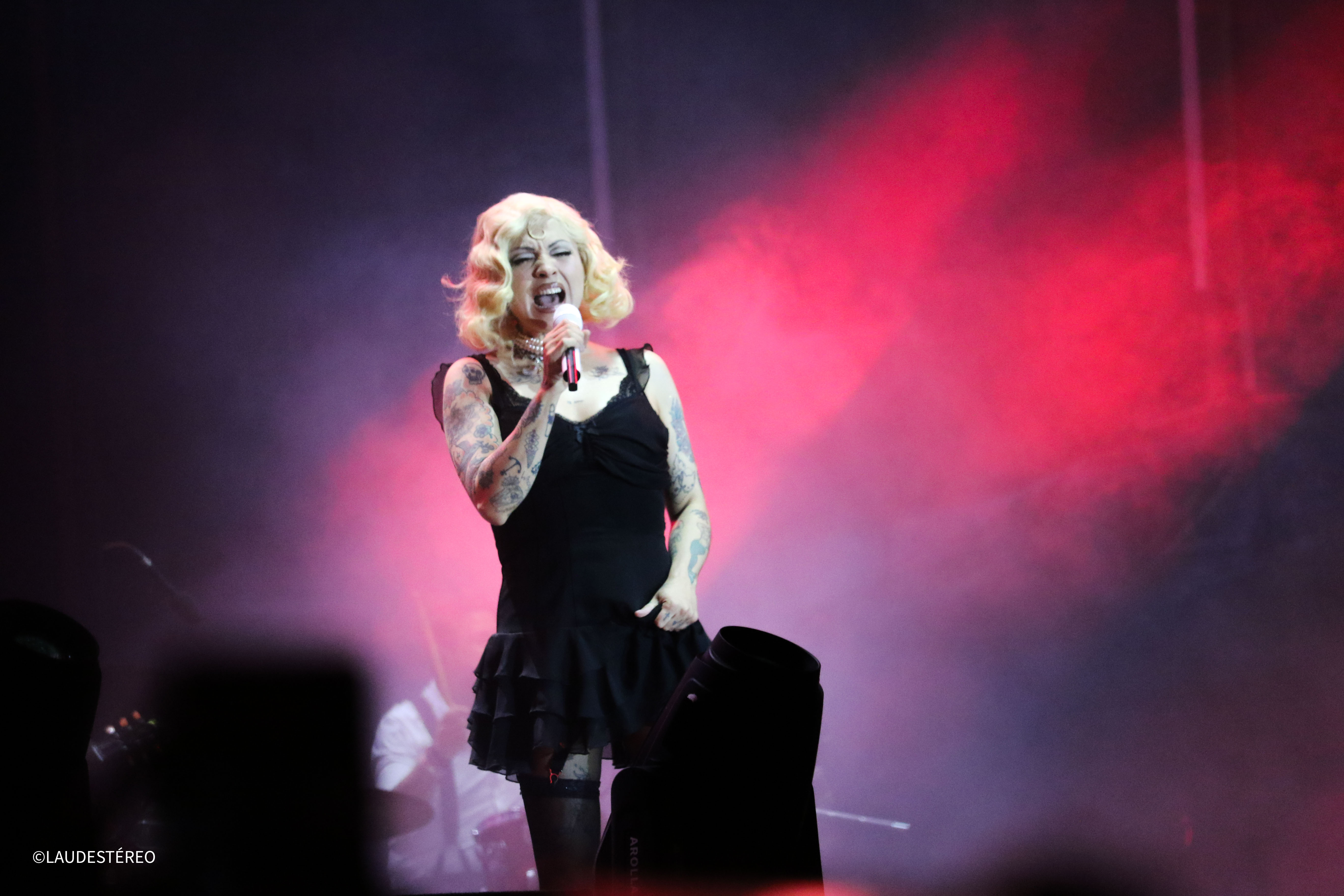 Galeria: 