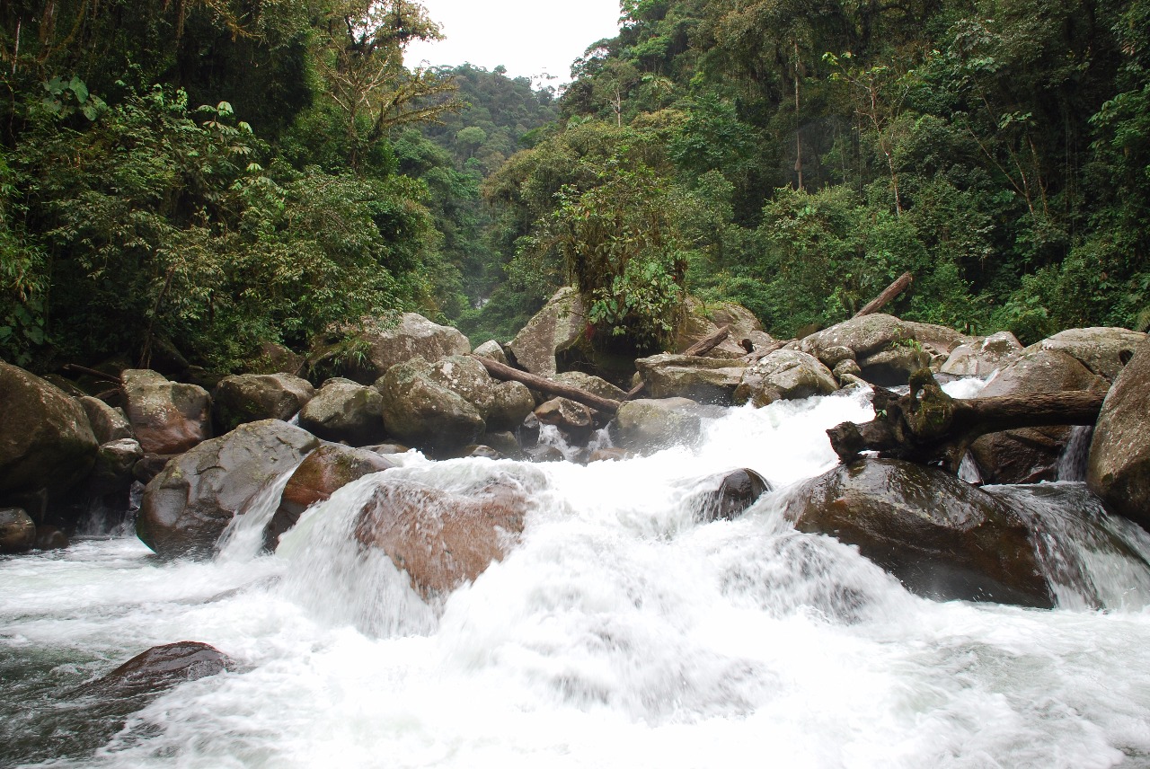 Imagen noticia Uso y tratamiento del agua en Colombia 