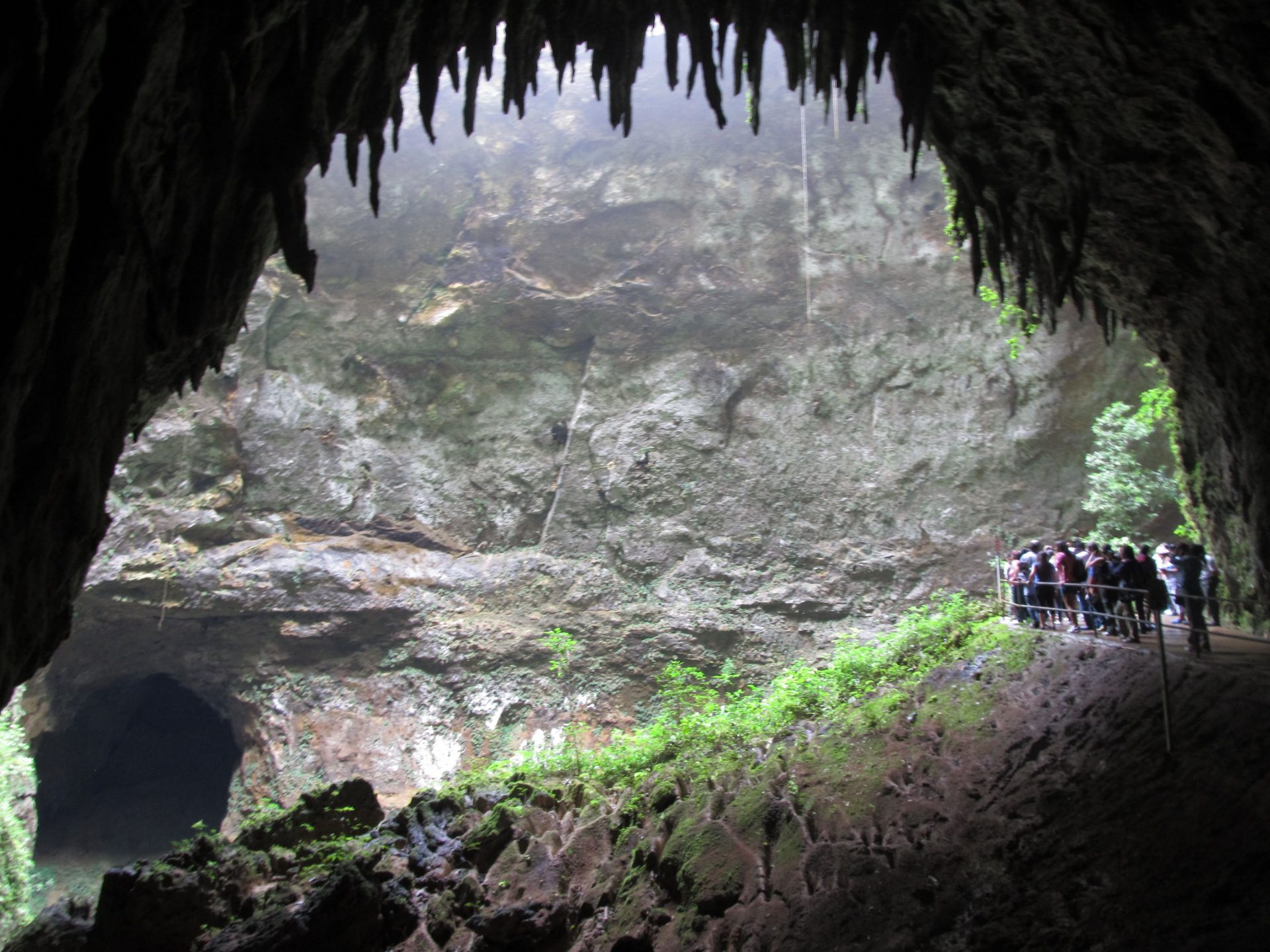 Imagen noticia Ley de las cavernas para conservar el patrimonio natural