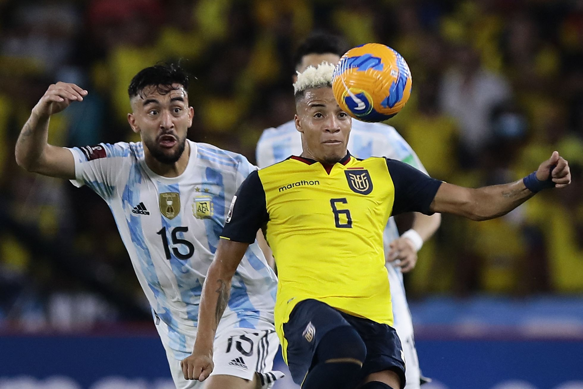 Imagen noticia FIFA ratifica presencia de Ecuador en Qatar 2022