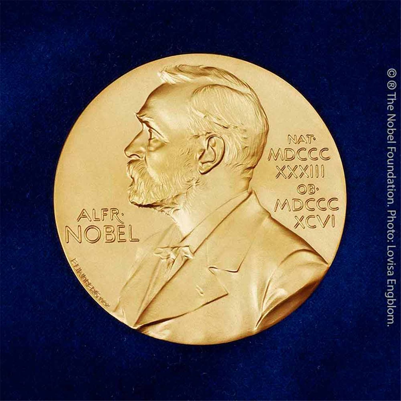 Imagen noticia Nobel