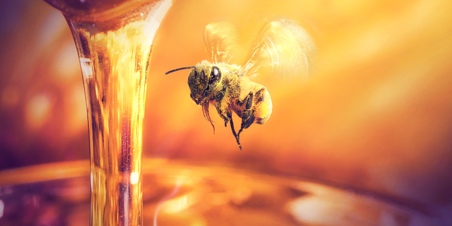 Imagen noticia Conoce y descubre los beneficios de las abejas