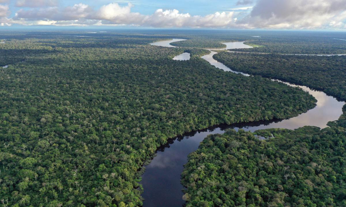 Imagen noticia Cumbre Amazónica, el primer paso para la solución de la cuenca amazónica