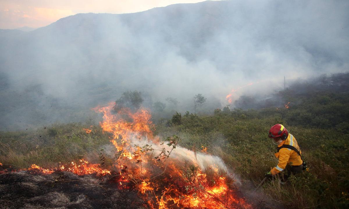 Imagen noticia 747 municipios en alerta por incendios forestales en el país