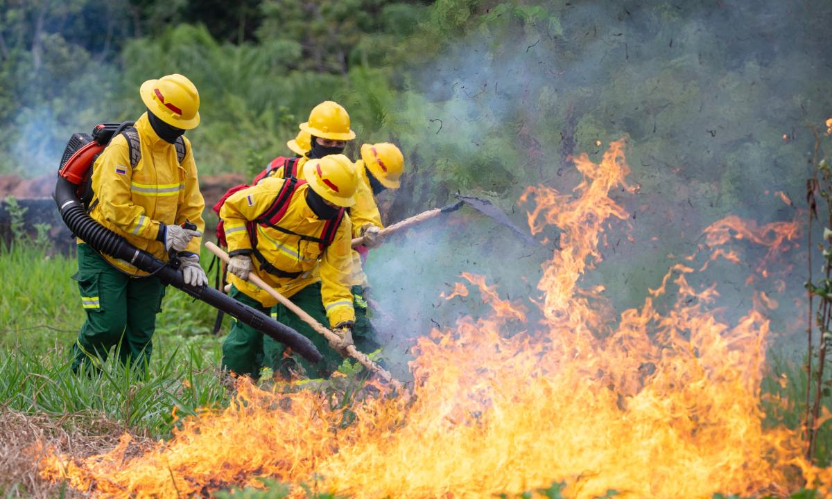 Imagen noticia Proyecto busca evitar el volteo de tierras luego de incendios forestales