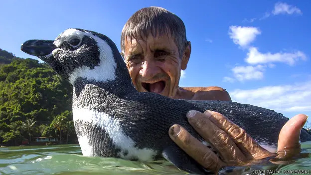 Imagen noticia La historia real que inspiró la película ‘Mi amigo el pingüino’ 