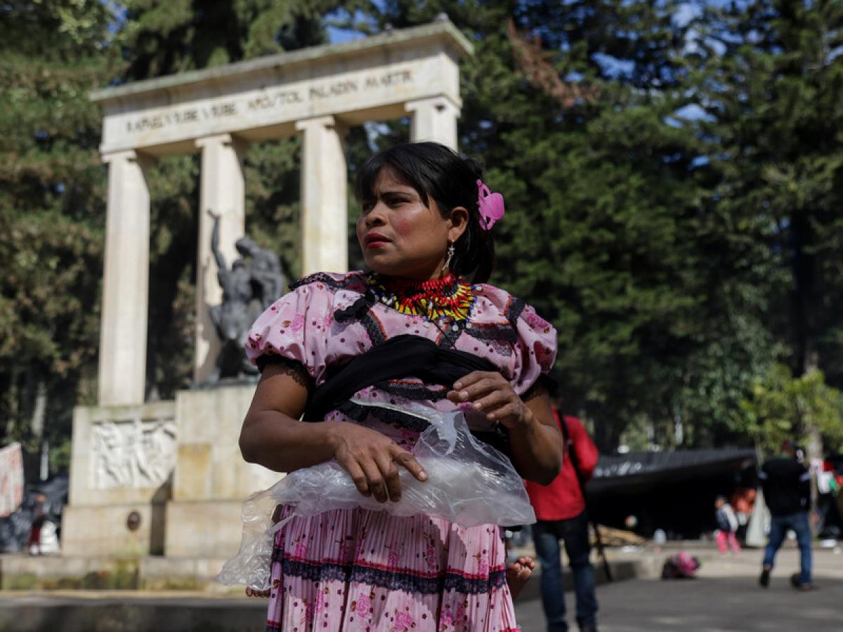 Imagen noticia  Inicia el retorno de las familias Emberá asentadas en el Parque Nacional