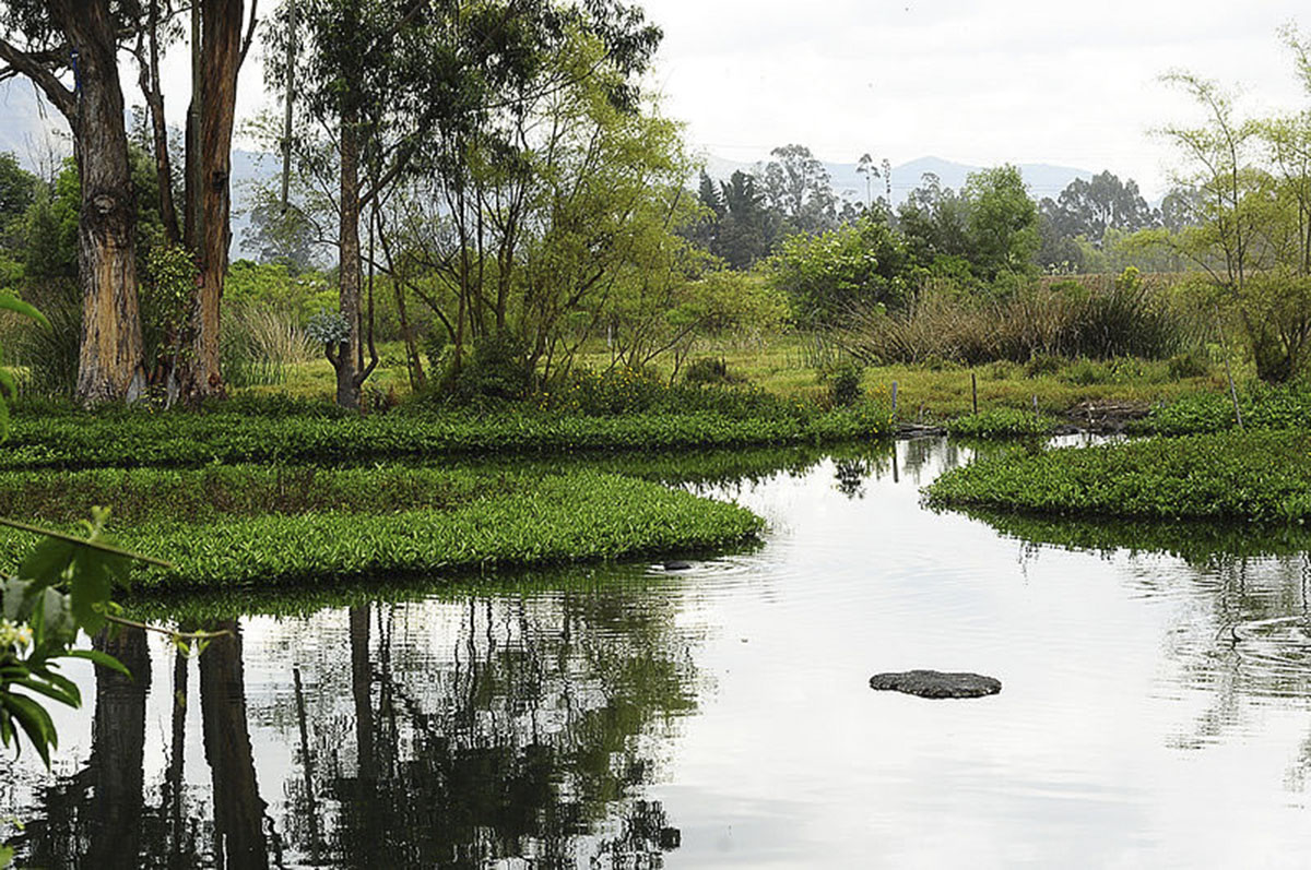 Imagen noticia Bogotá implementa nuevo sistema para proteger áreas ambientales