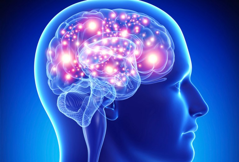 Imagen noticia Los expertos responden: ¿Cómo cuidar la salud del cerebro?