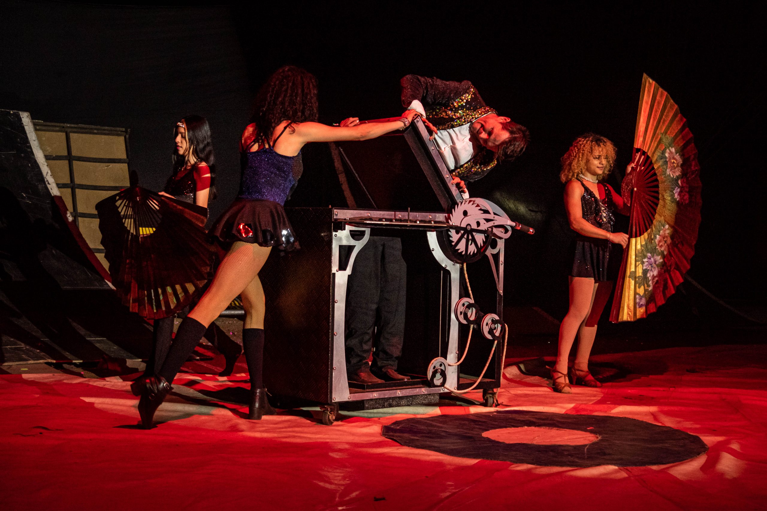 Imagen noticia ¡Historias bajo la carpa! Así es la verdadera vida detrás del circo