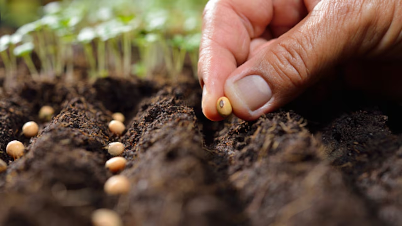 Imagen noticia La Universidad Distrital recibió el reconocimiento ‘Sembrador del Futuro’