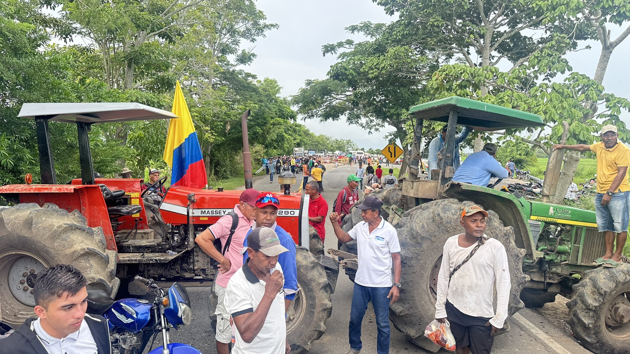 Imagen noticia  Paro nacional arrocero: ¿qué está pasando en el campo colombiano?