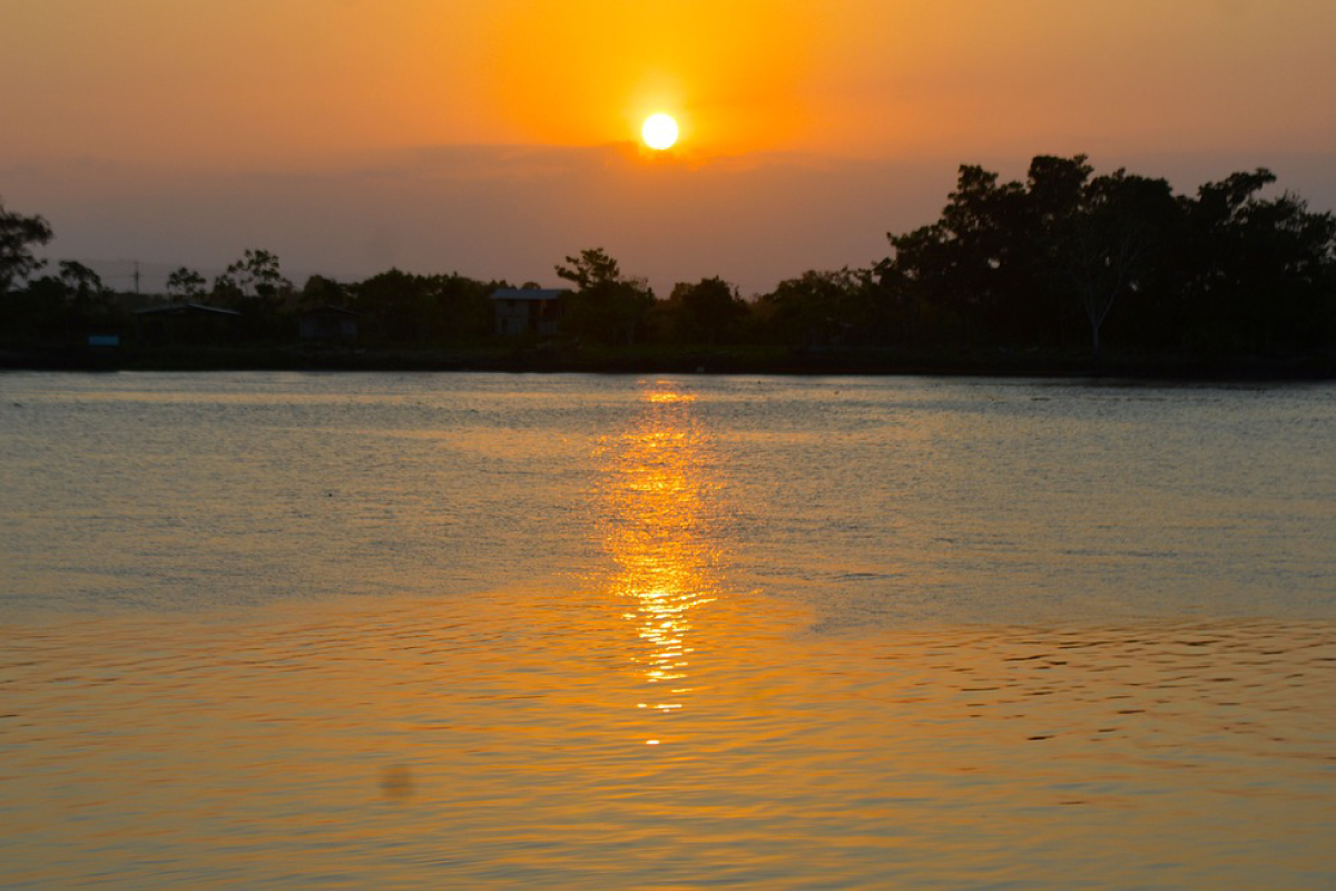 Imagen noticia El sabor del Caribe inspira el universo sonoro de Paul Gutiérrez