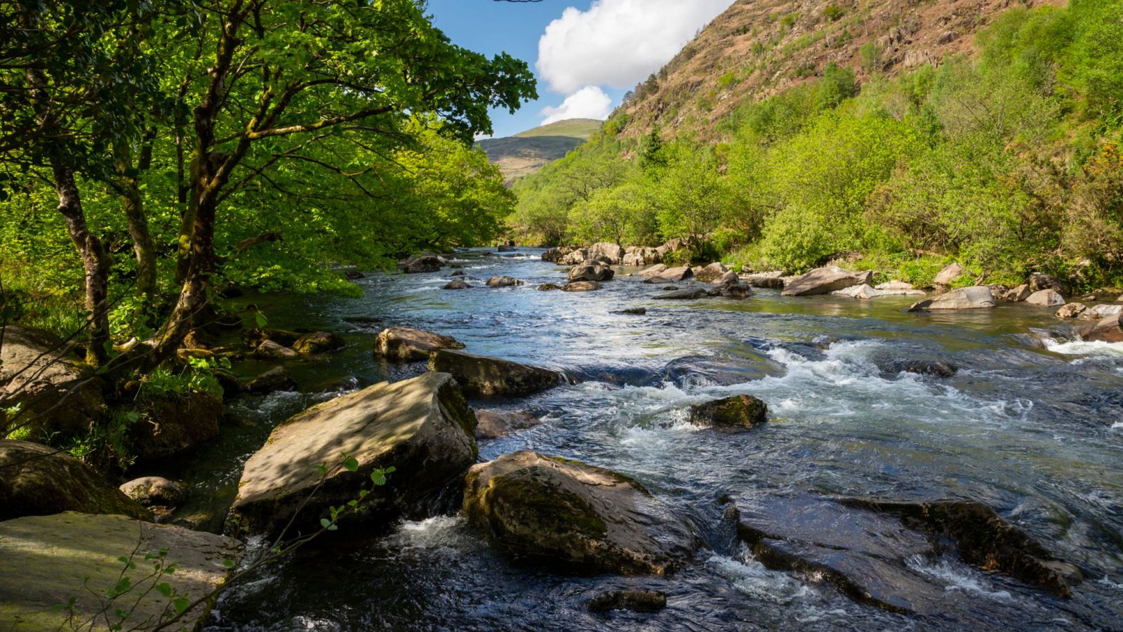 Imagen noticia  ‘Día Mundial de los Ríos’: ¿Cómo podemos ayudar a preservarlos?