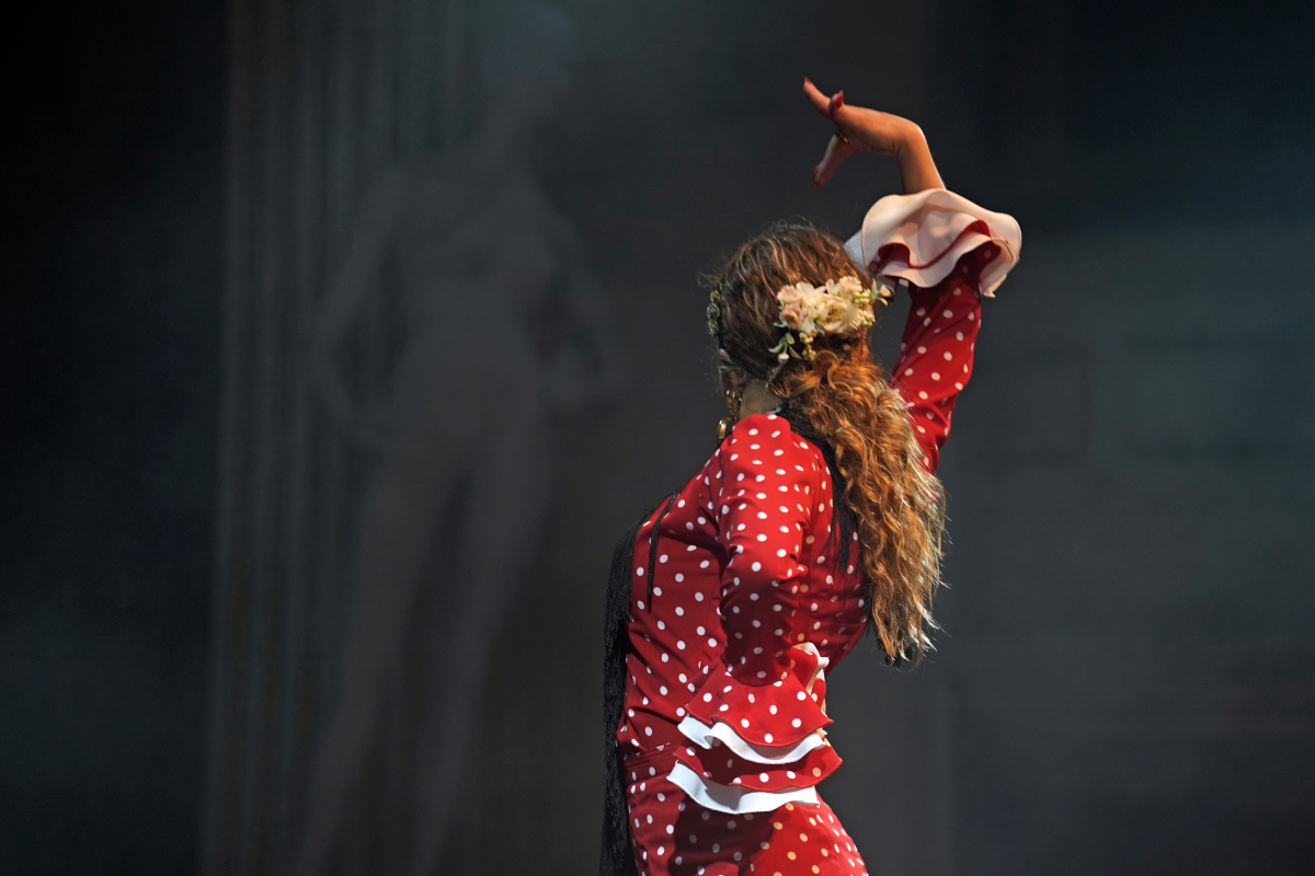 Imagen noticia Zarzuela Colombia