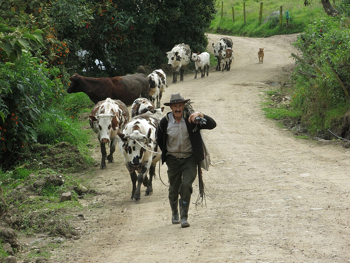 Imagen noticia El campo cada vez más cerca de contar con una Jurisdicción Agraria y Rural