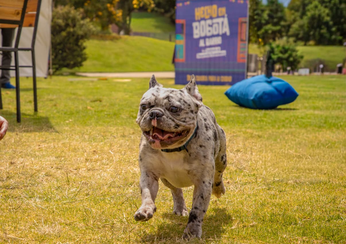 Imagen noticia El programa ‘Hecho en Bogotá’ se toma la capital