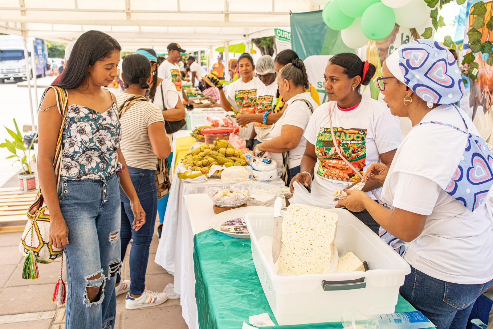 Imagen noticia Campesinos llevarán queso fresco y artesanal a Bogotá