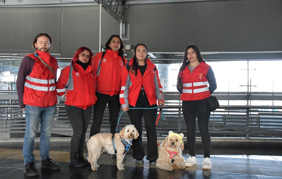 Imagen noticia TransMilenio firma convenio para atender casos de abandono y maltrato animal 