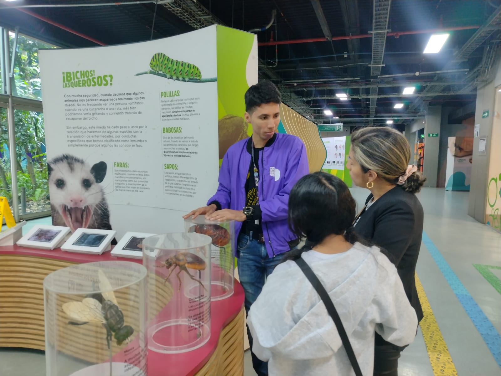 Imagen noticia ¿Sin planes estas vacaciones? Viaje por los ecosistemas de Colombia en Maloka