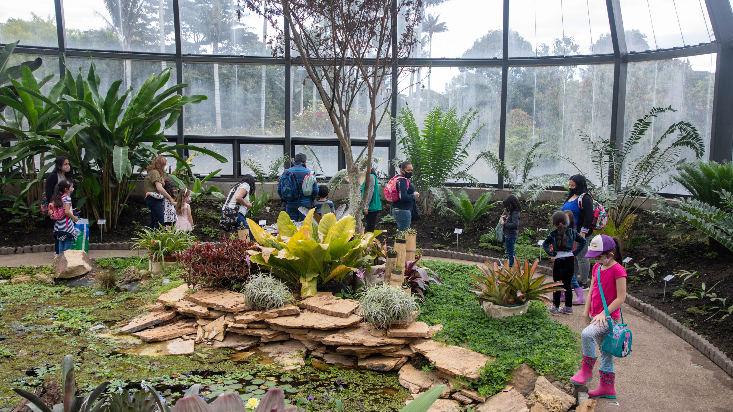 Imagen noticia Vacaciones científicas en el Jardín Botánico: Aprender jugando en Semana Santa