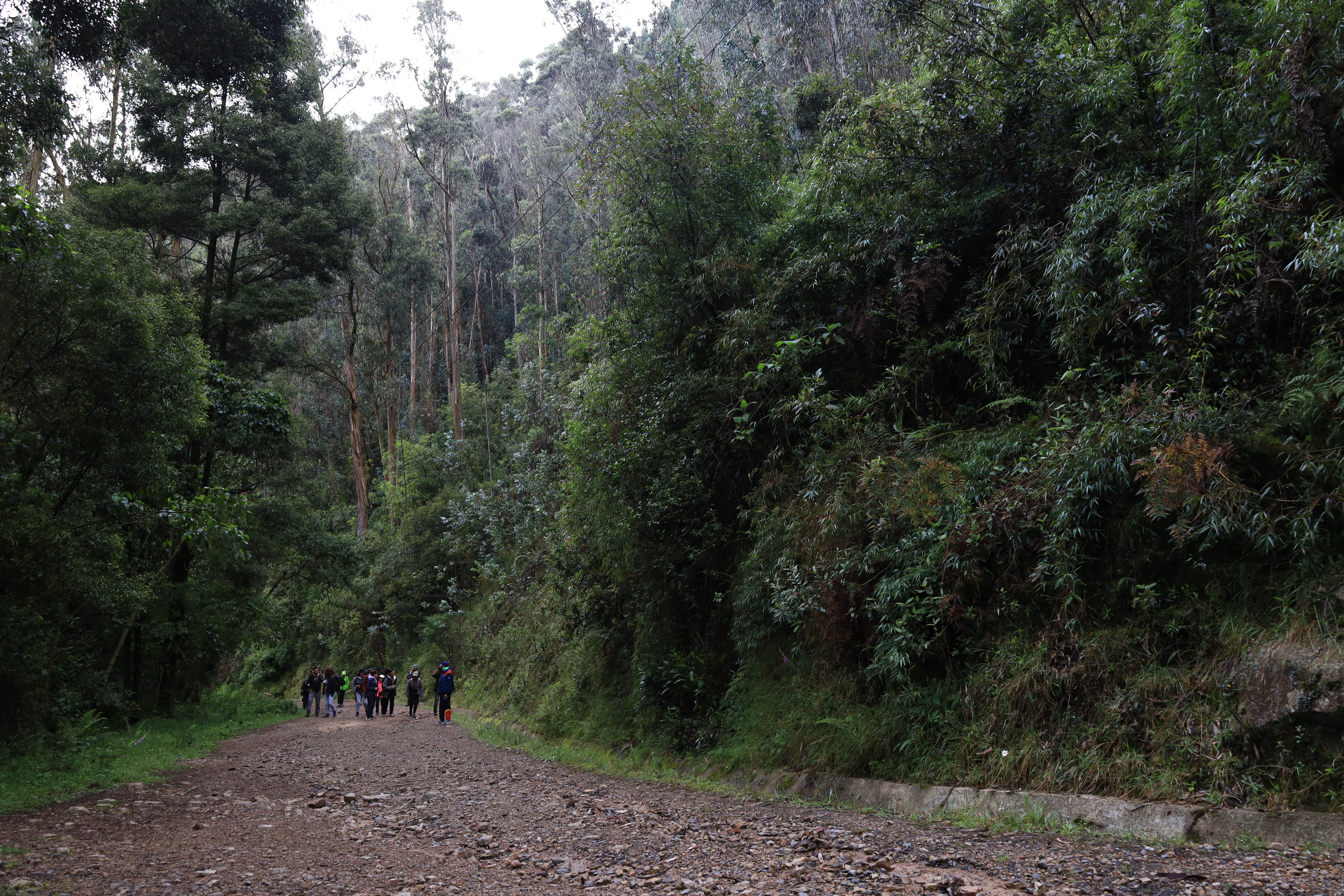 Imagen noticia Tenga en cuenta los cambios en los Caminos de los Cerros Orientales