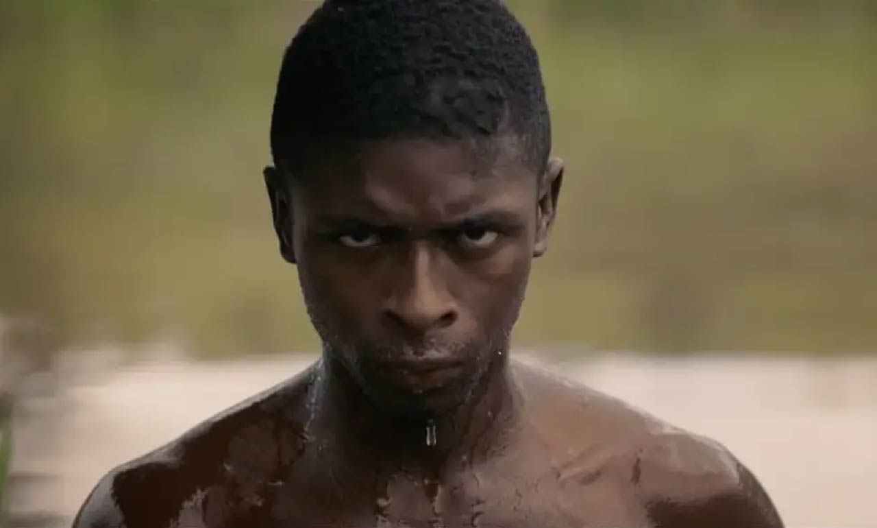 Imagen noticia ¿Amante del cine? Únase a un viaje por la historia con ‘El legado de las olas’