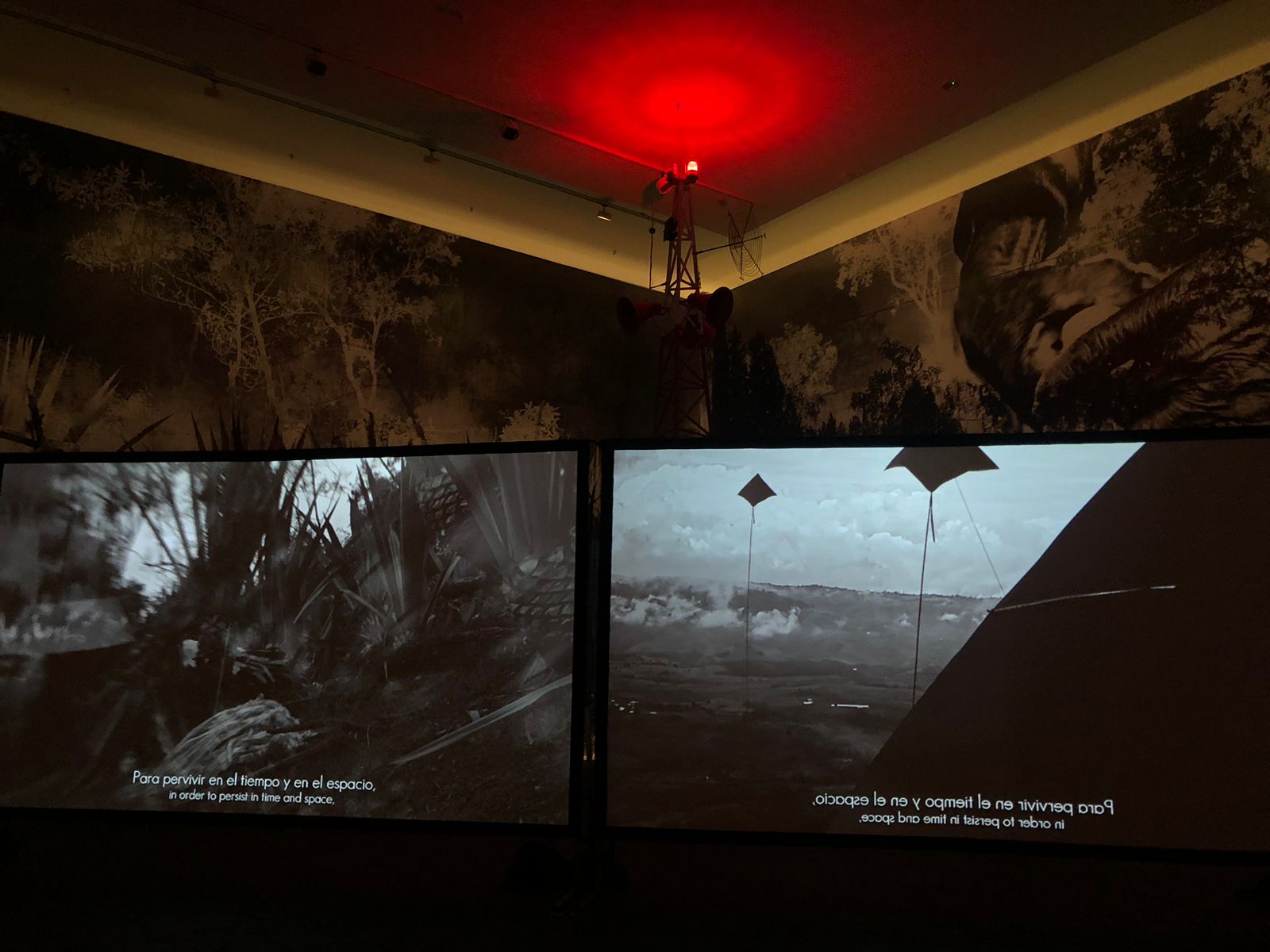 Imagen noticia ¡Es gratis! Viaje por la memoria con la exposición ‘Ecos del Cerro Kwel Tul’
