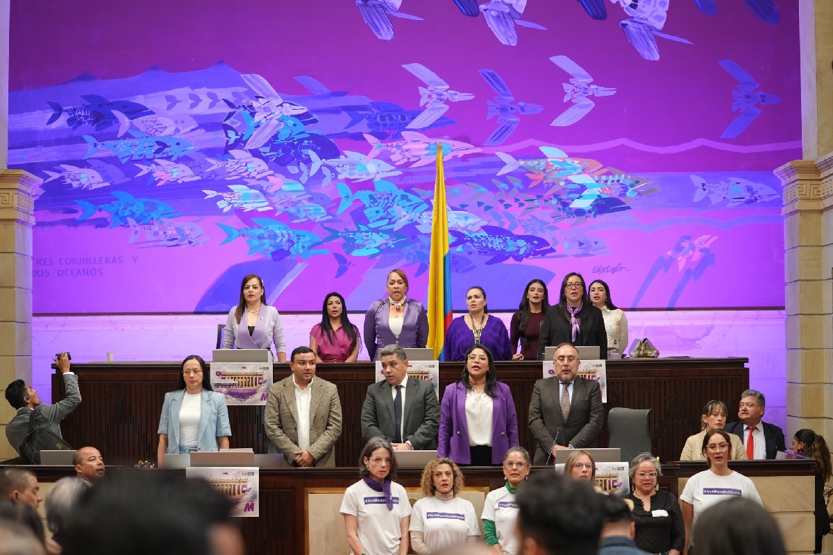 Imagen noticia Ley 2453: El desafío de una democracia sin violencia para la mujer en política