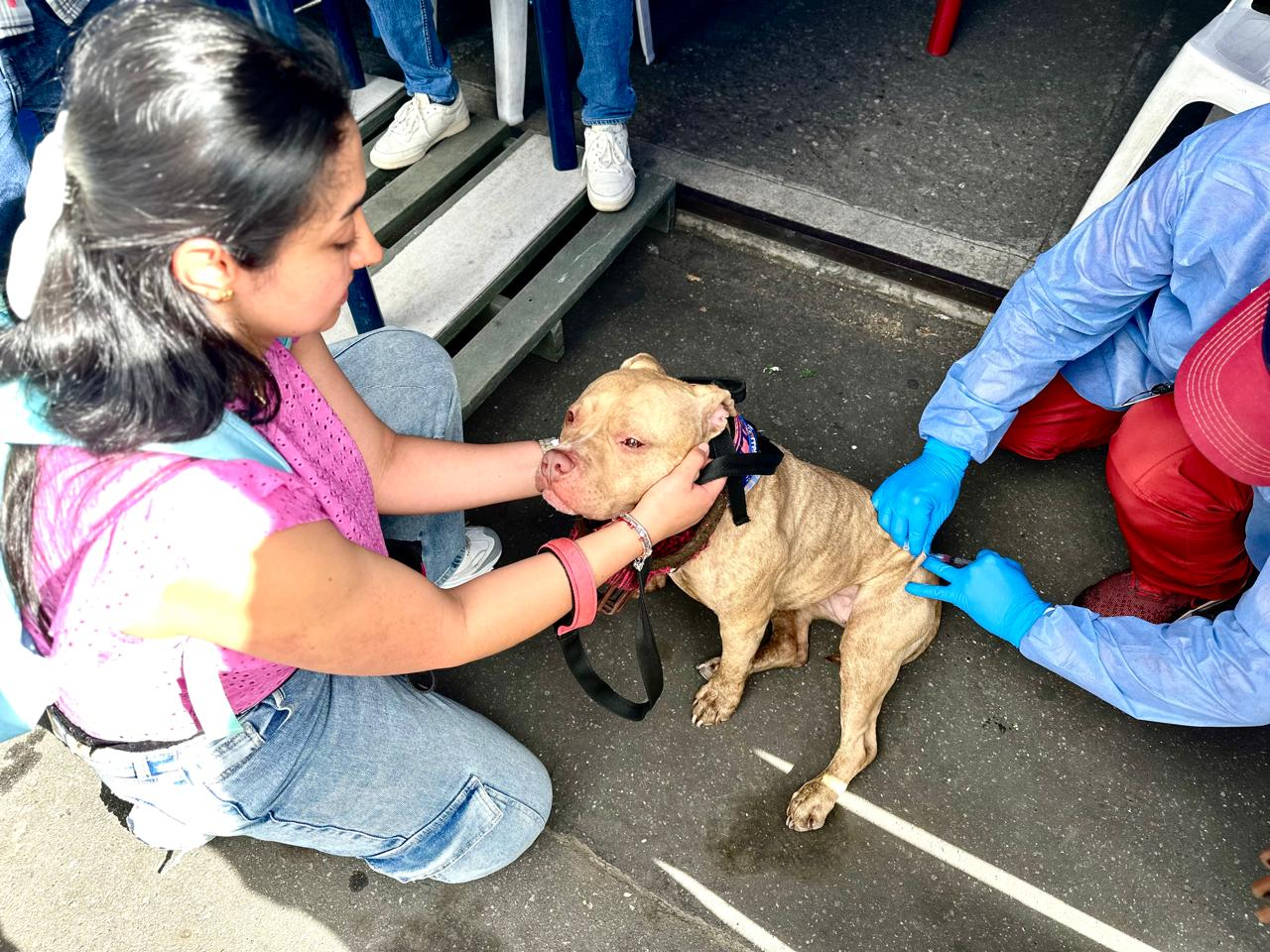 Imagen noticia Vacunas y cuidado animal: La ‘Feria A Tu Servicio’ se toma los Mártires