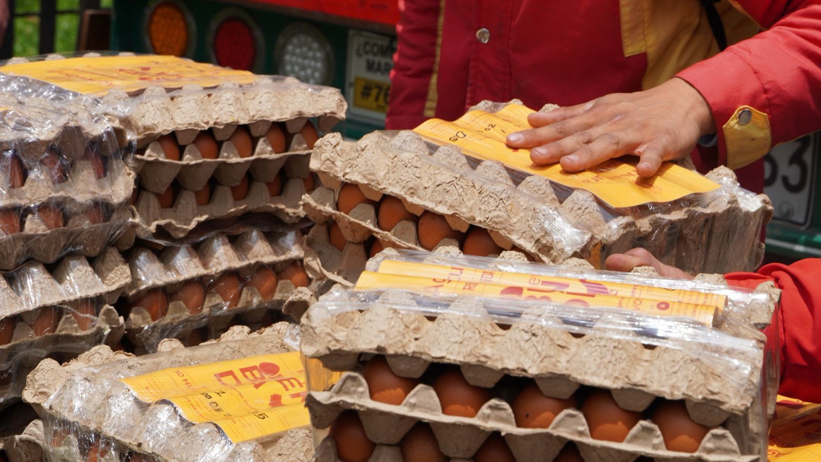 Imagen noticia Más de 4 millones de huevos se distribuirán gratuitamente a familias vulnerables