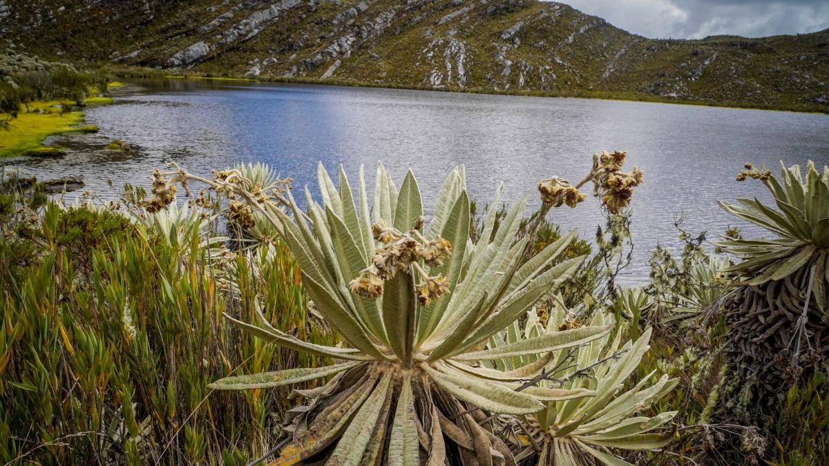 Imagen noticia Inscripciones abiertas para apoyar a campesinos de la región