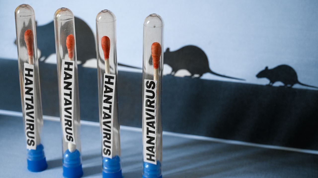 Imagen noticia No hay alerta de hantavirus en Colombia informó MinSalud