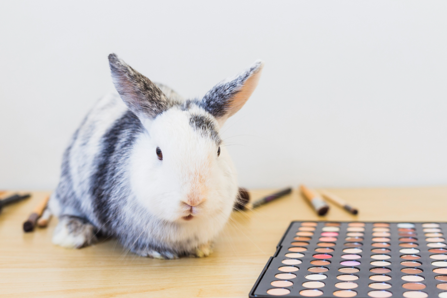 Imagen noticia Prohibidos cosméticos en Colombia que hayan sido probados en animales